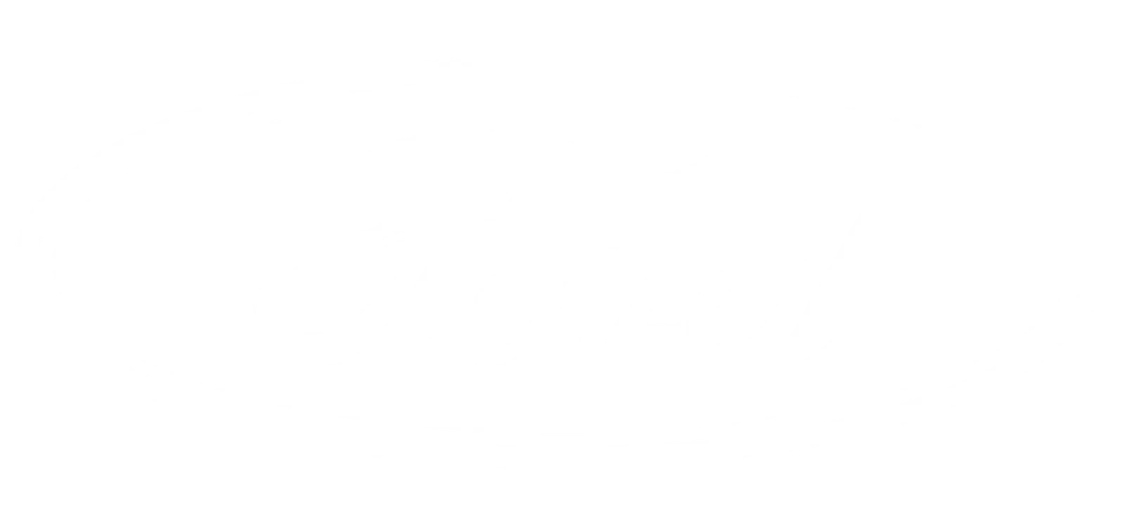 Ford Logo