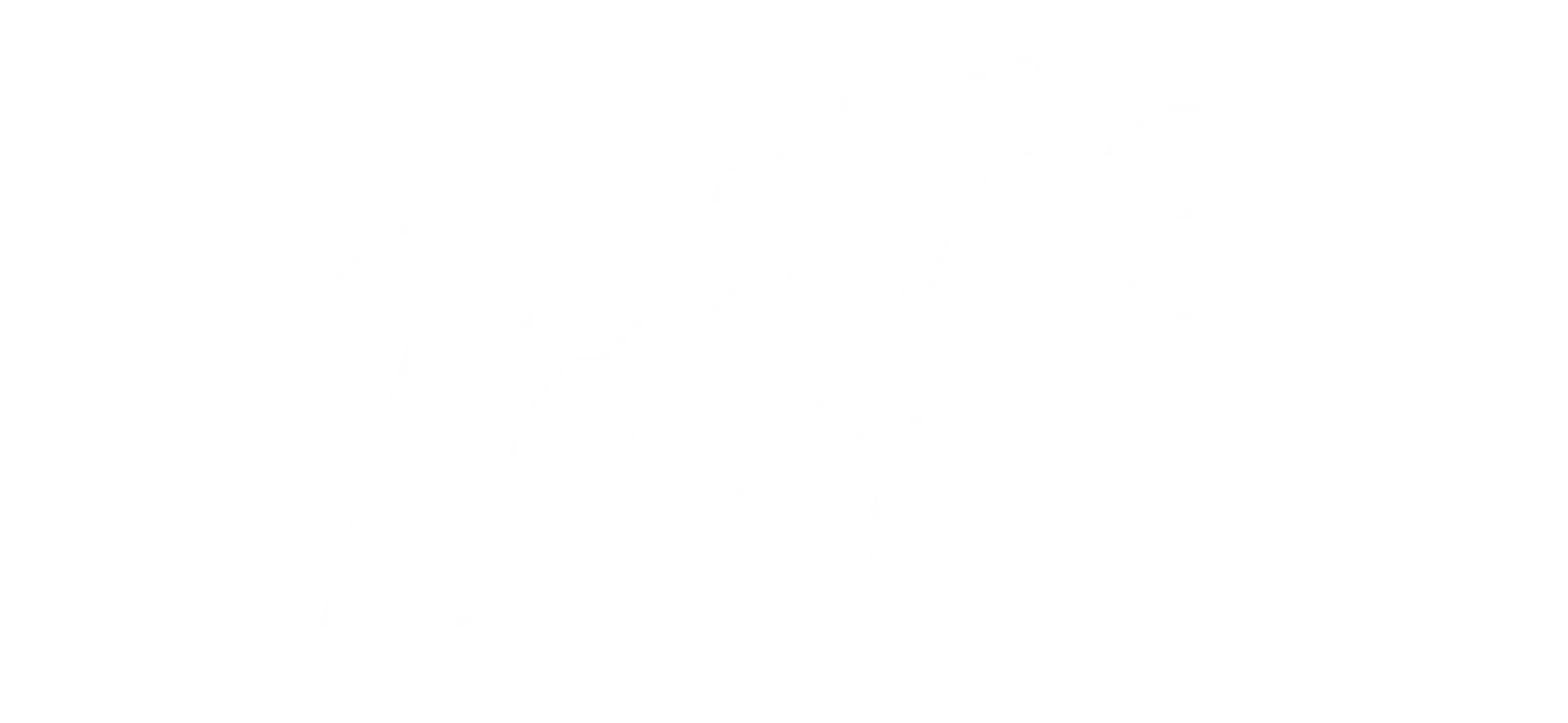 Pontiac Logo